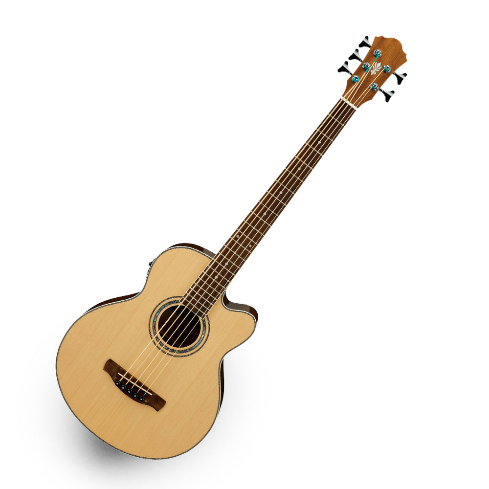 5-String Acoustic Basses