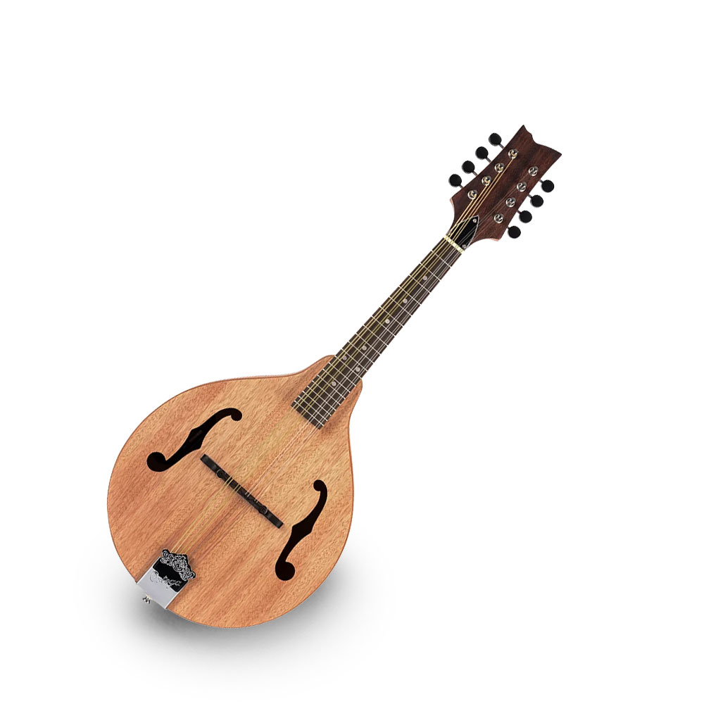 Mandolins
