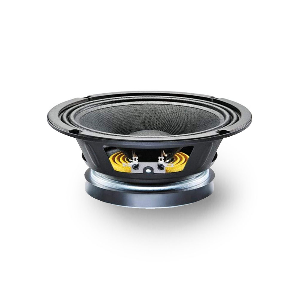 Guitar/Bass Speakers